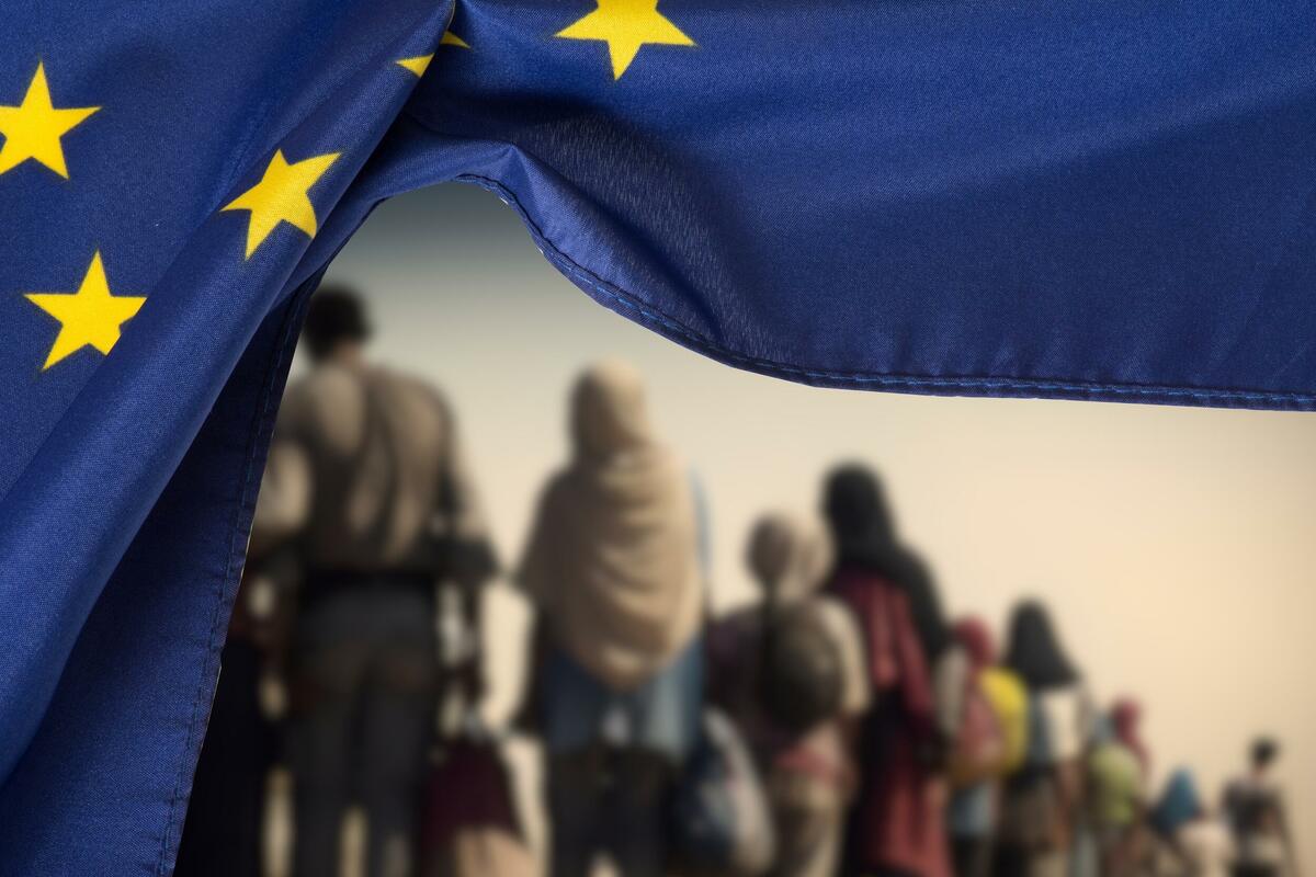 NEWRY BETRAYED: How Council and the EU Migration Pact Are Engineering a Border Crisis